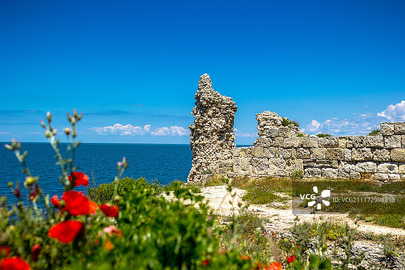 海边的红色花朵与遗迹图片素材