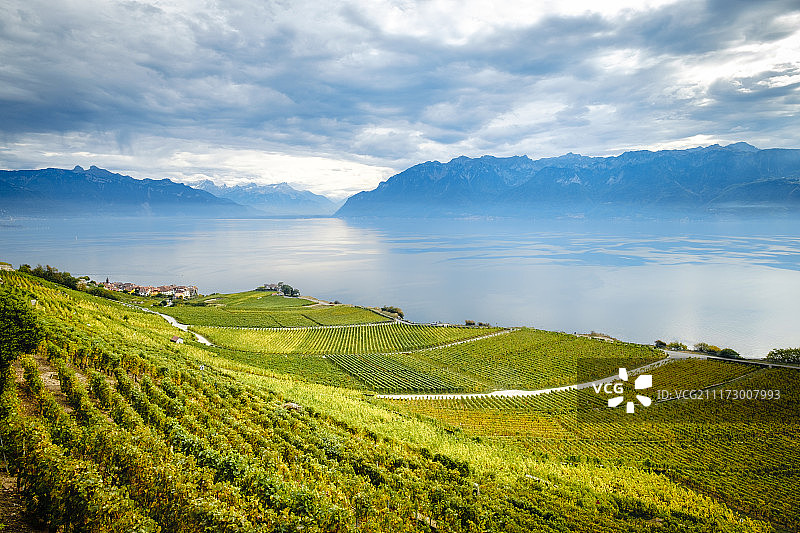 拉沃葡萄园图片素材