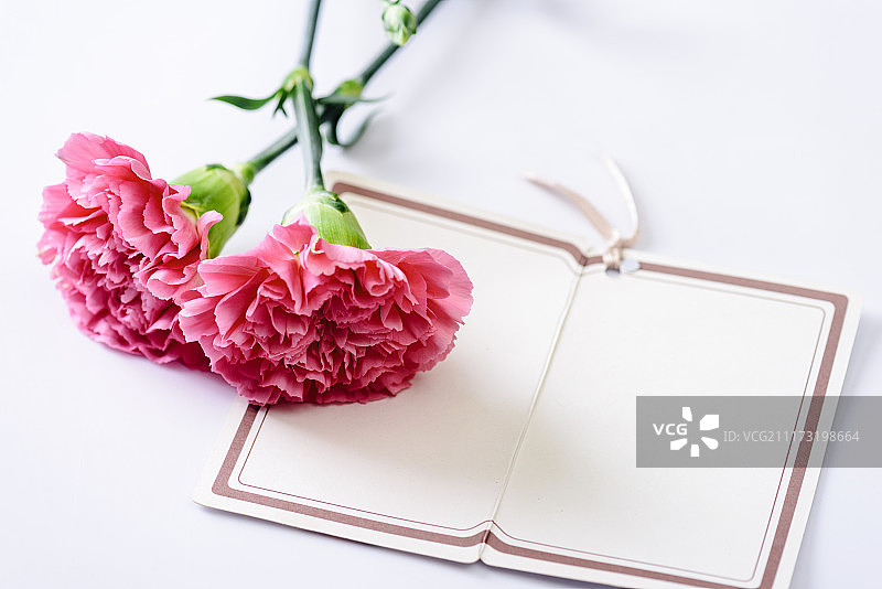 传统节日庆祝图片素材