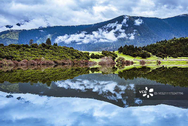 西藏林芝鲁朗林海景区图片素材