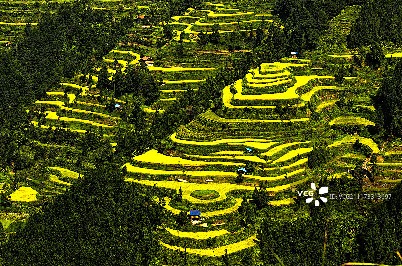 贵州乡间梯田风光图片素材