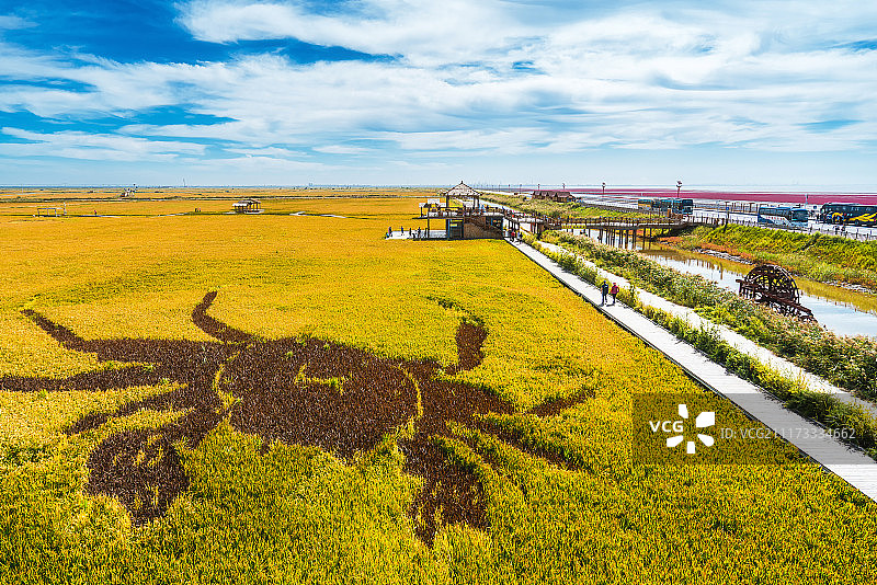 中国辽宁省盘锦红海滩风景区图片素材