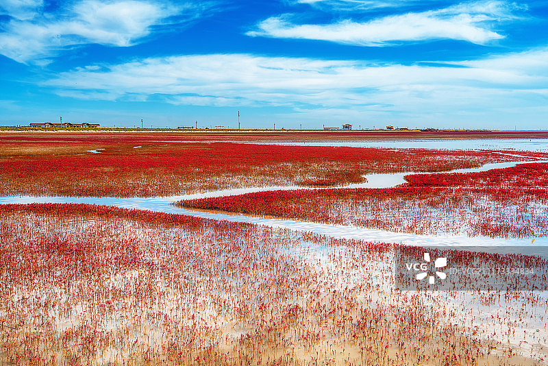 盘锦红海滩风景图片素材