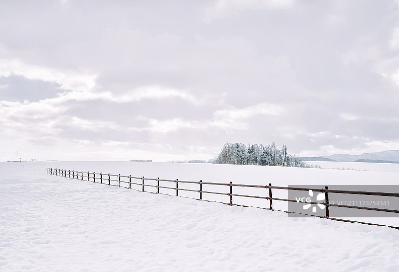 冬日北海道里美瑛町的无边雪原图片素材