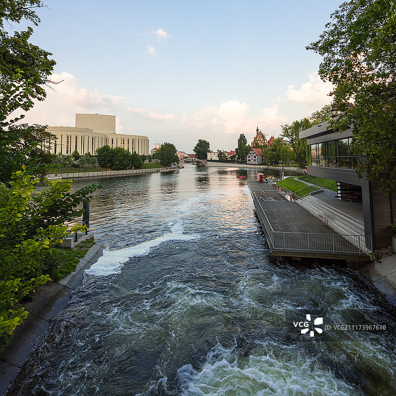 比得哥什图片素材