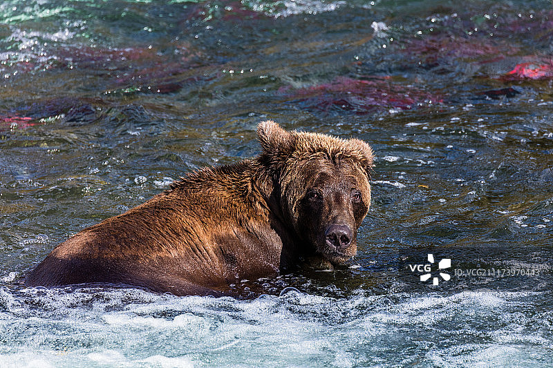 你在跟我说话吗？图片素材