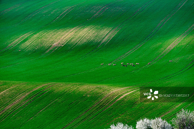 户外活动图片素材