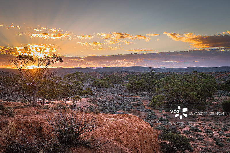 红岸保护公园图片素材