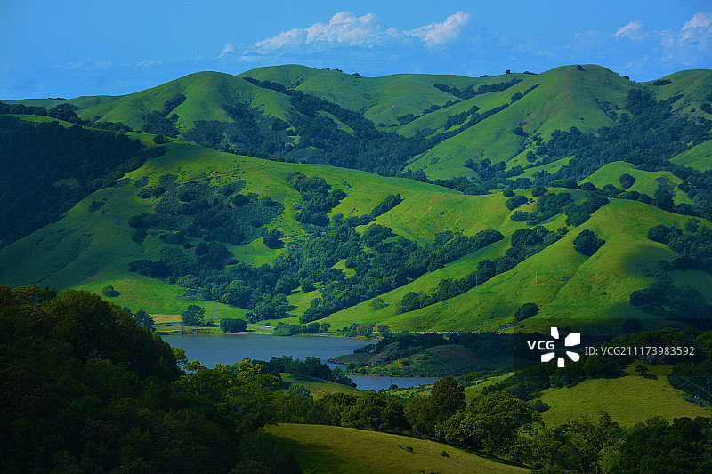 连绵的绿色山丘图片素材