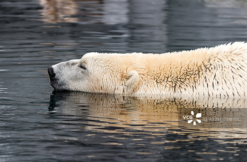 放松时刻图片素材