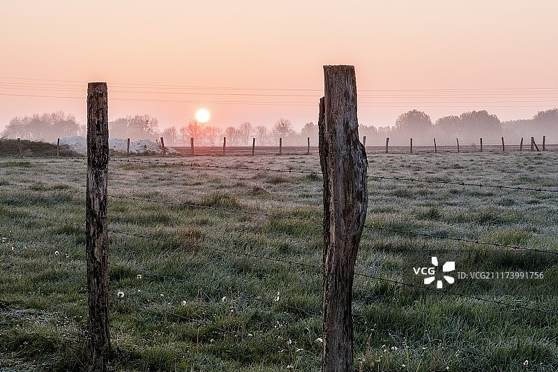 寒冷的早晨图片素材