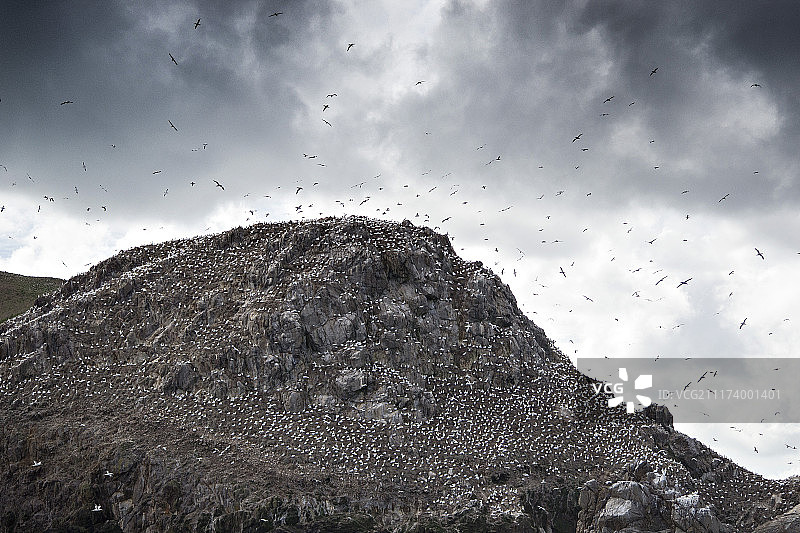 山景与鸟群图片素材