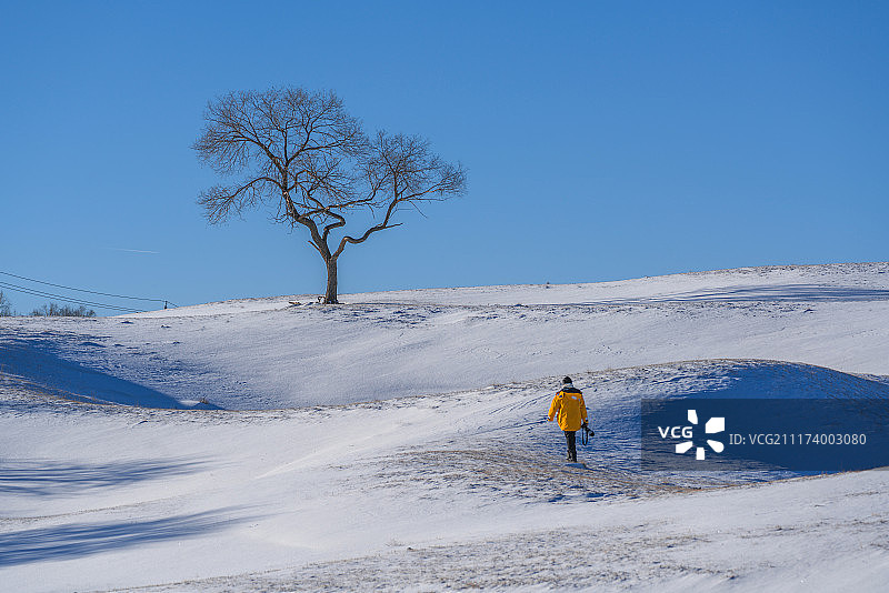 雪地上的摄影工作者图片素材