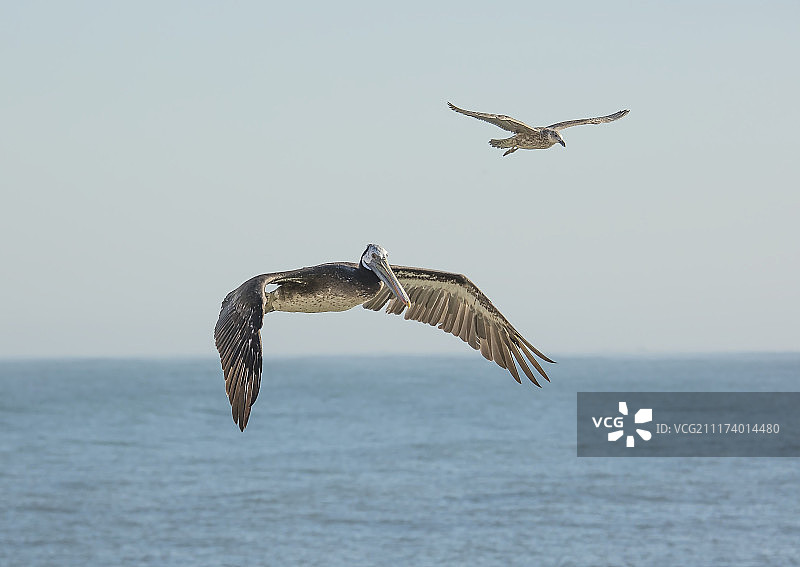 好朋友图片素材