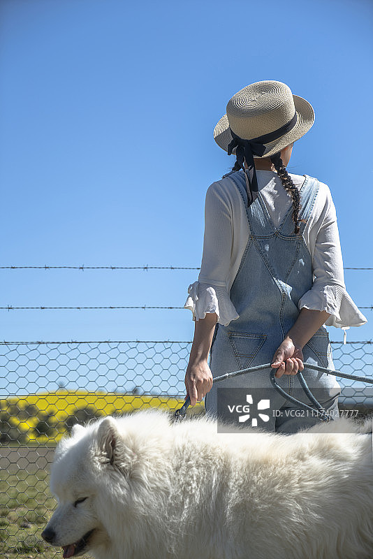 眺望油菜花田的遛狗女孩图片素材