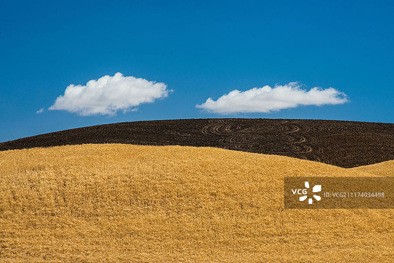 Vivianaroquephotography图片素材