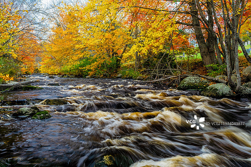 菲茨罗伊河畔秋色图片素材
