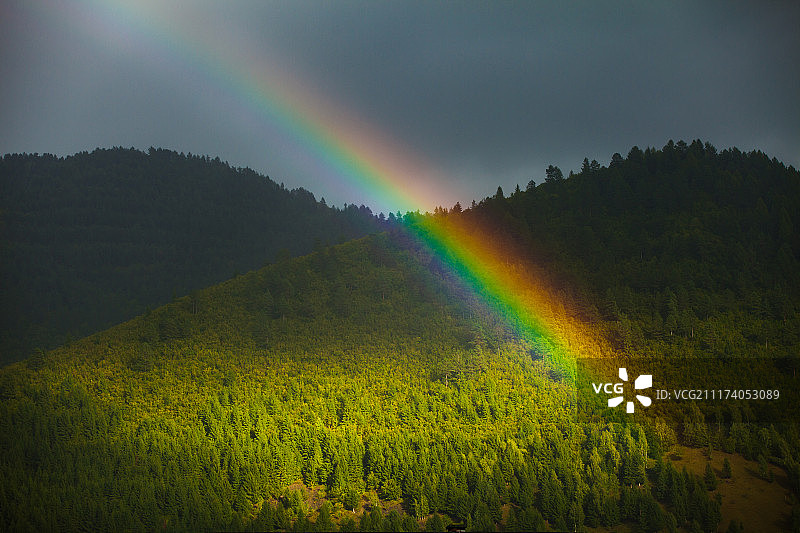 森林上空的强烈彩虹图片素材