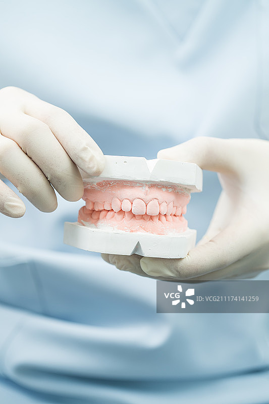 牙科模具图片素材