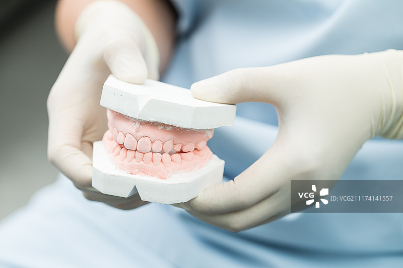 牙科模具图片素材