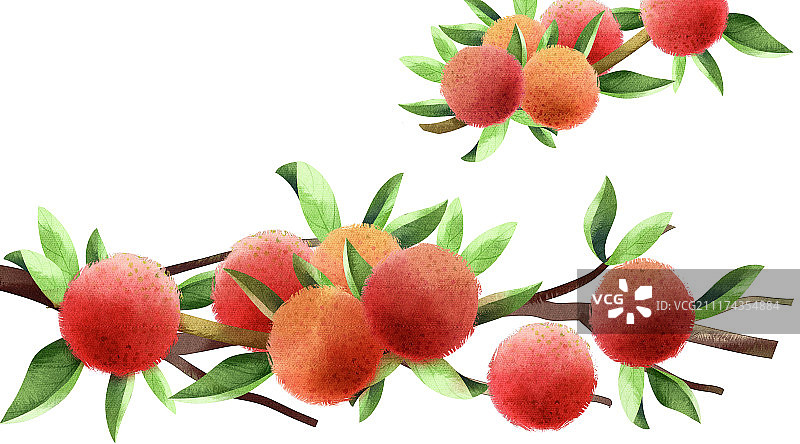 水彩风格植物花卉图片素材