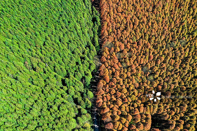 划分季节的道路图片素材