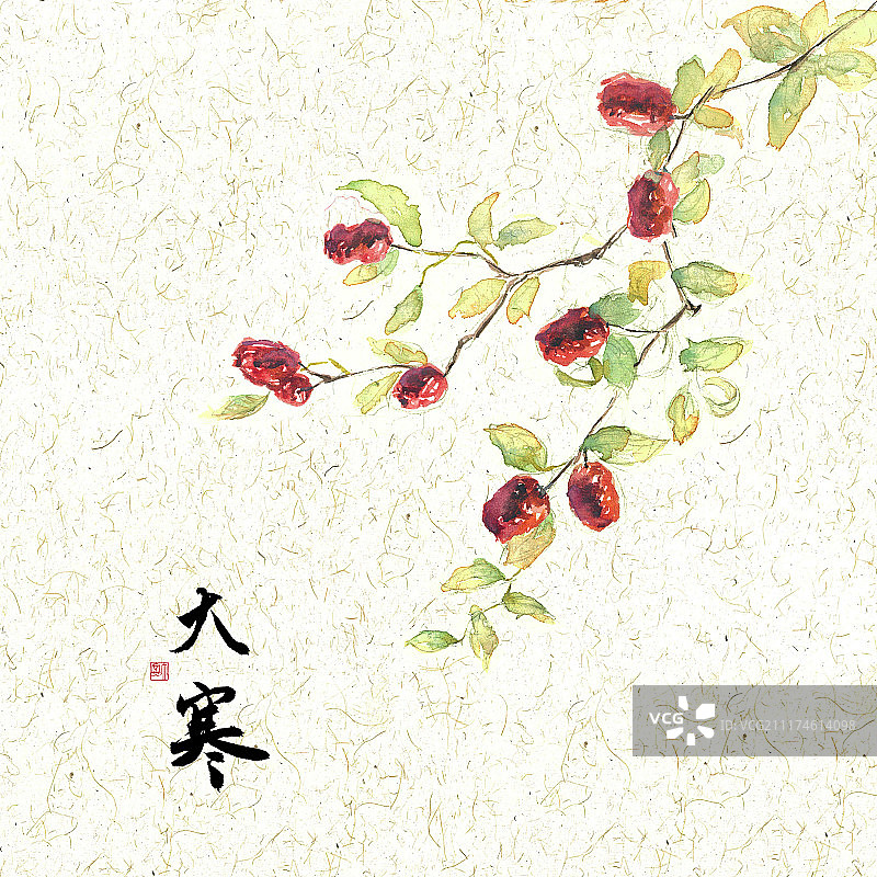 插画二十四节气果蔬系列之大寒红枣图片素材