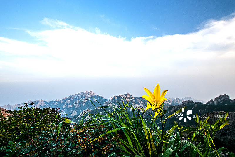 青岛崂山崂顶风光图片素材