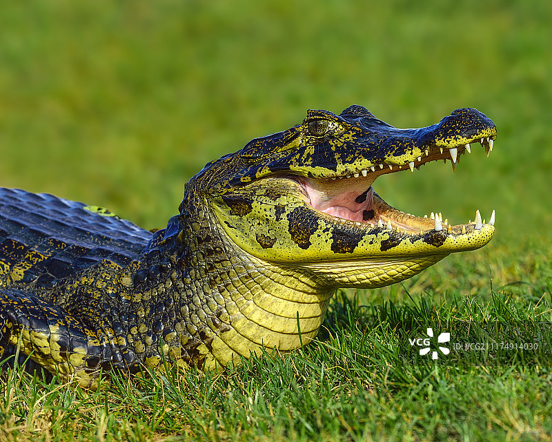 深呼吸图片素材