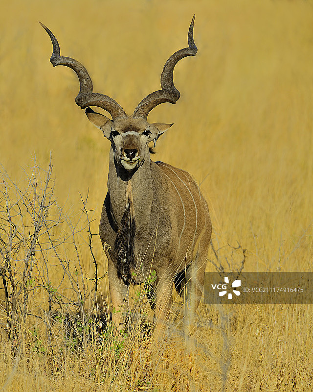 不管怎样,图片素材