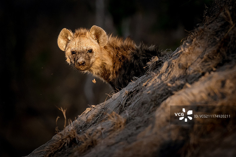 一束光图片素材
