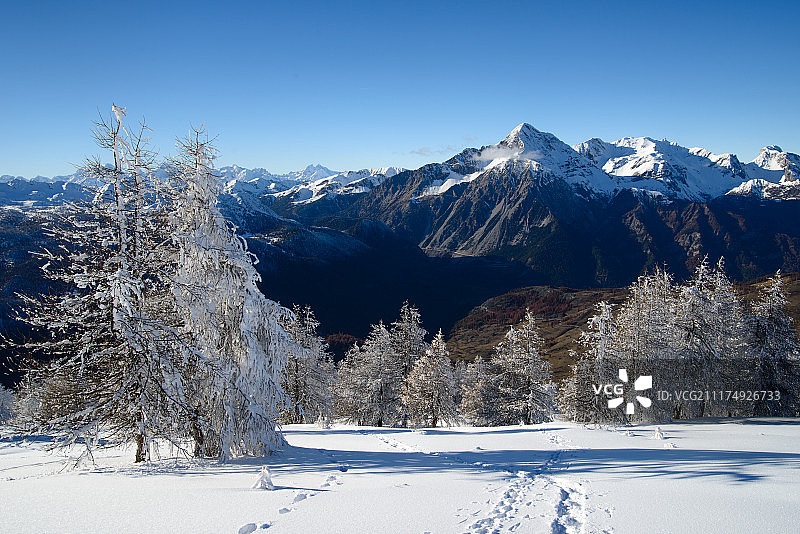 博斯科山顶的初雪图片素材