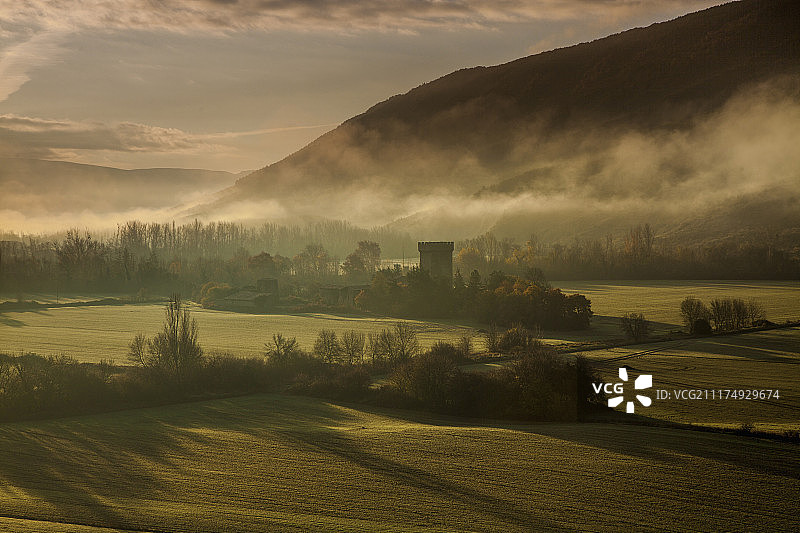 田野上的雾景图片素材