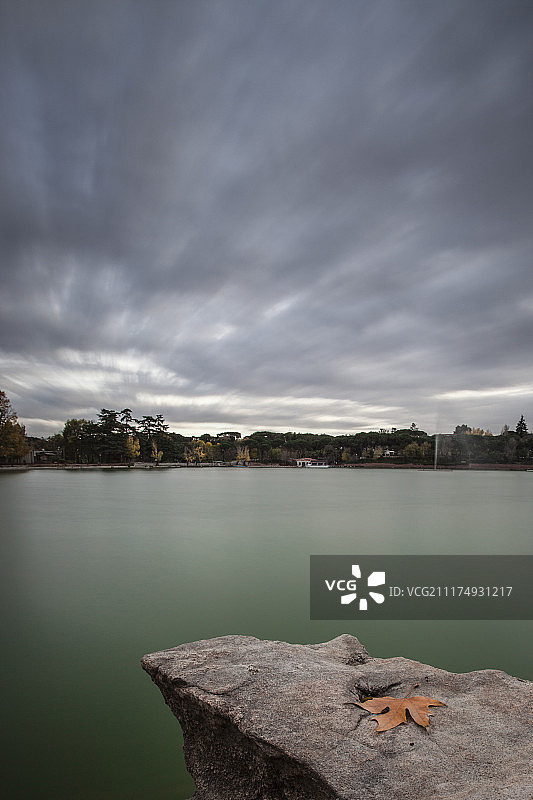 湖面上的秋叶图片素材