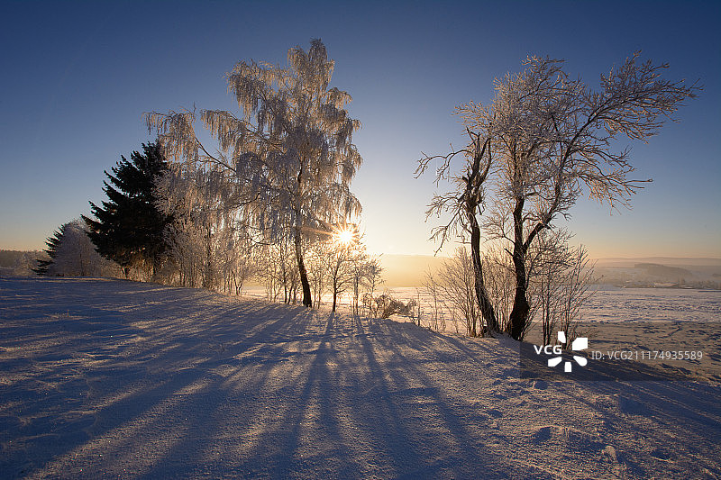 金色黎明图片素材