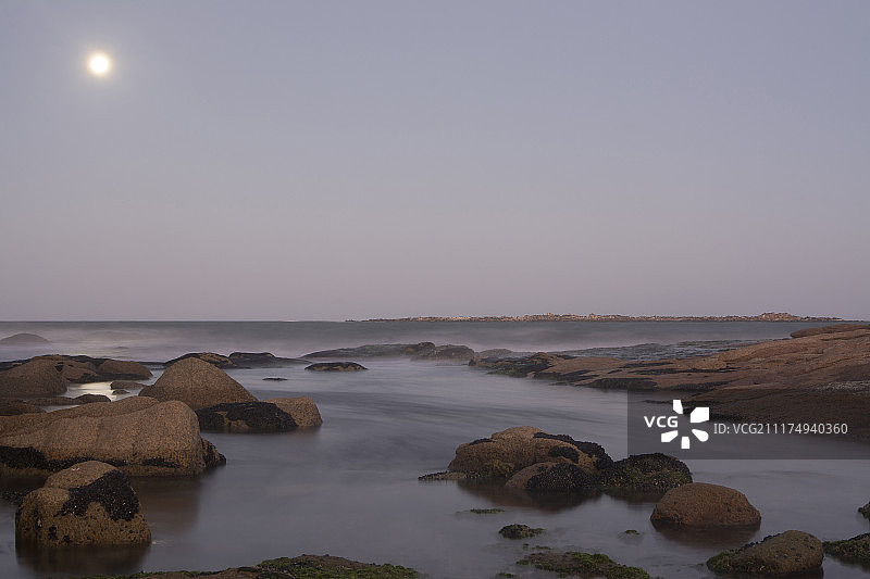 午后卡波图片素材