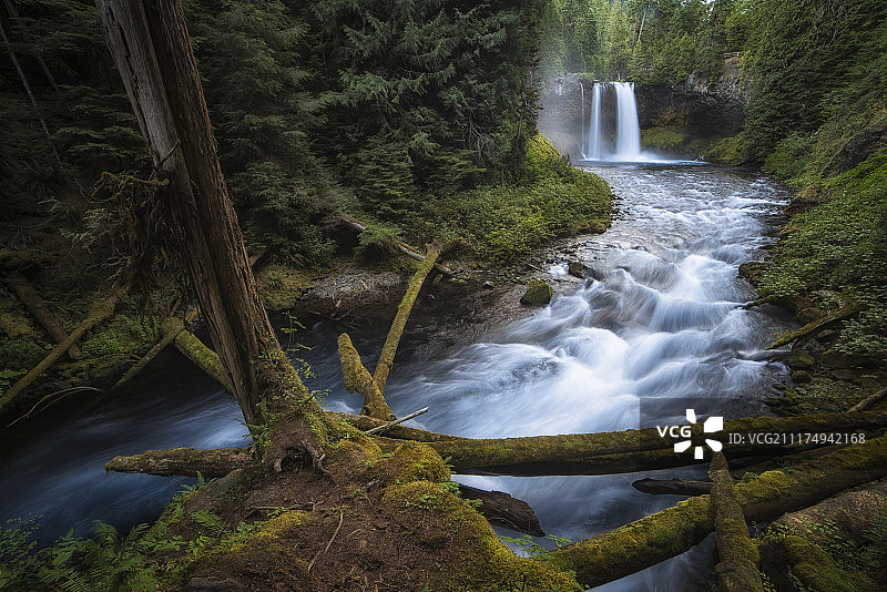 库萨瀑布—威拉米特国家森林公园—俄勒冈州图片素材