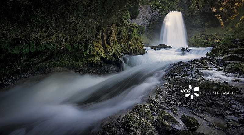 俄勒冈州威拉米特国家森林公园的萨哈利瀑布图片素材