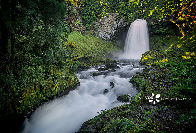 俄勒冈州威拉米特国家森林公园的萨哈利瀑布图片素材