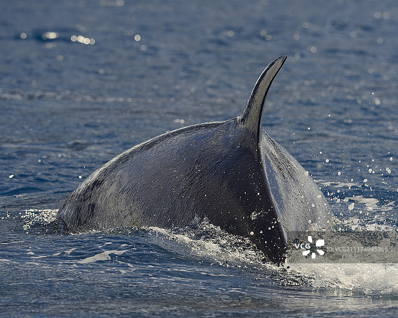 触及表面图片素材
