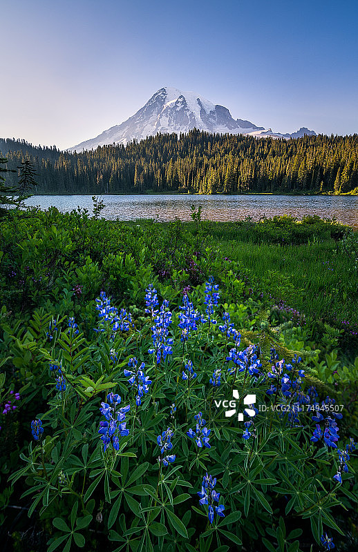 美国雷尼尔山国家公园图片素材