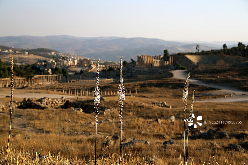 约旦杰拉什图片素材