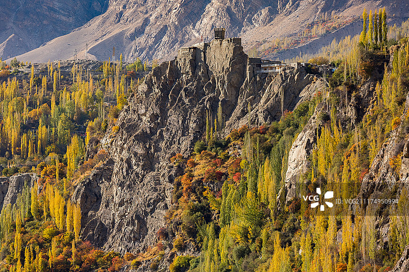 巴基斯坦罕萨山谷阿尔蒂特堡垒，十月秋季的彩色树叶环绕图片素材