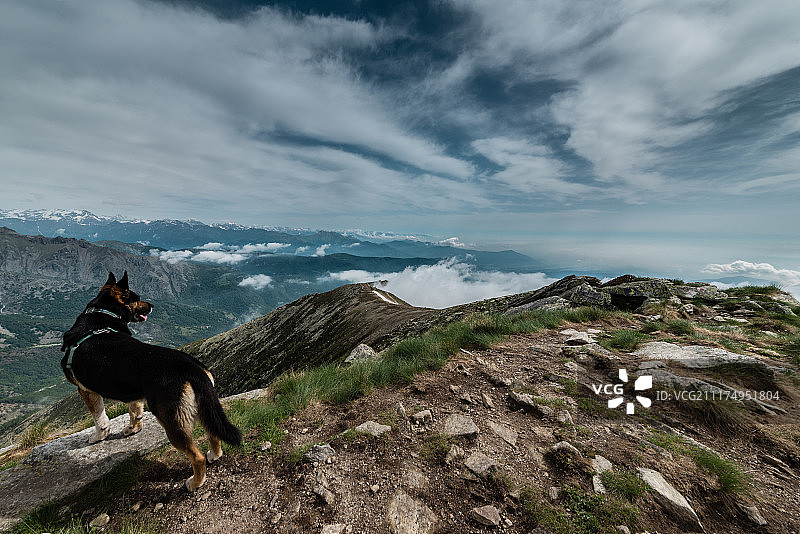 眺望山谷图片素材