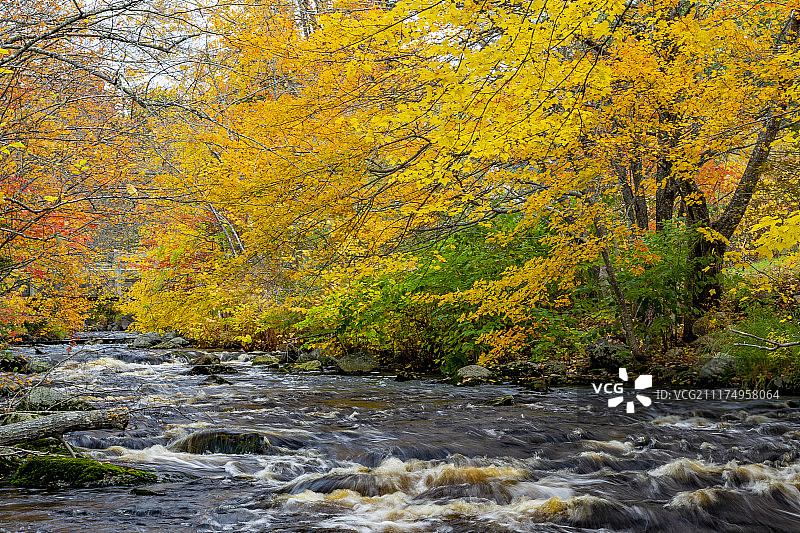 菲茨罗伊河畔秋色图片素材