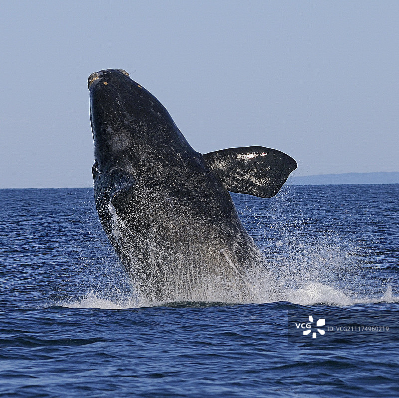 探索另一个维度图片素材
