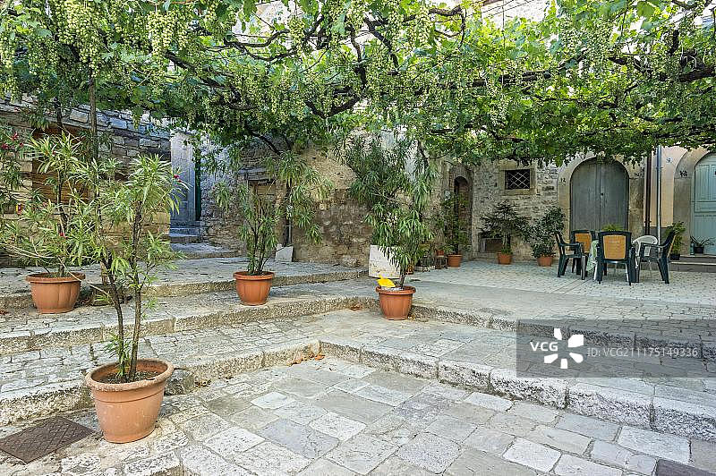 特里文托老城区葡萄藤凉棚（意大利莫利塞）图片素材