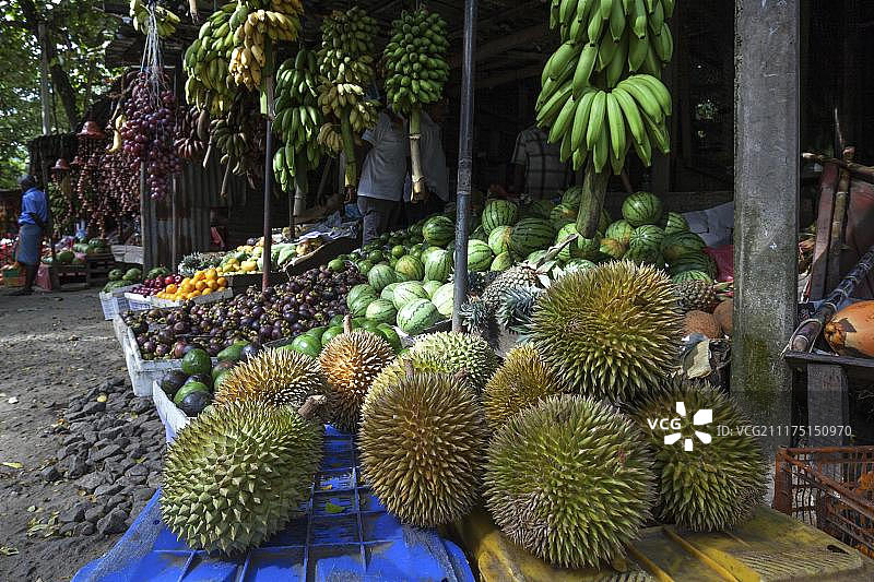 斯里兰卡中央省的水果摊，有榴莲、香蕉和甜瓜图片素材