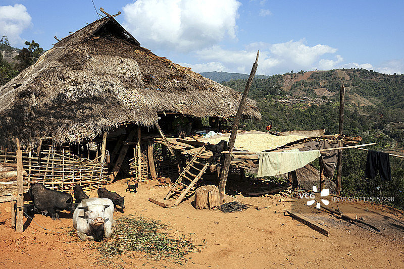 缅甸掸邦金三角地区安族山村的典型农舍图片素材