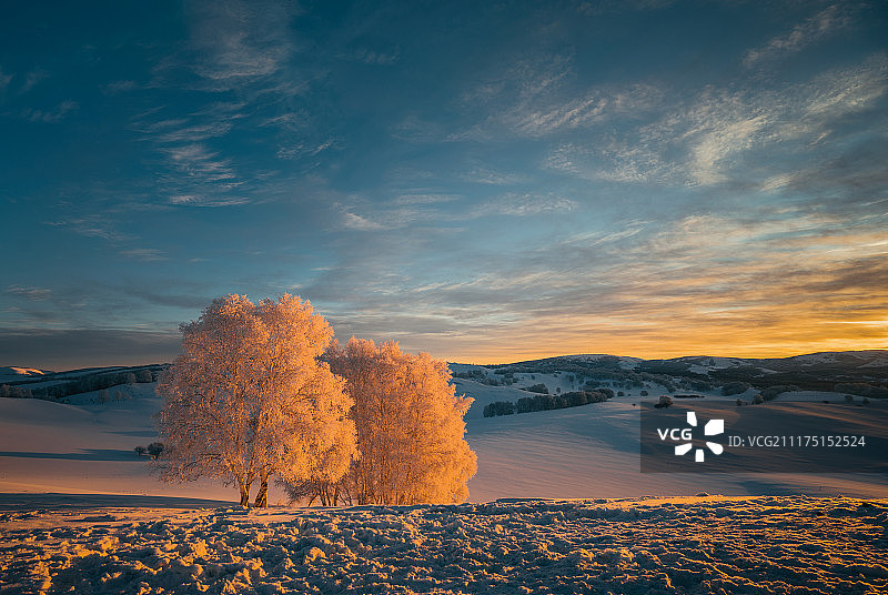 雪地上清晨的雾凇图片素材